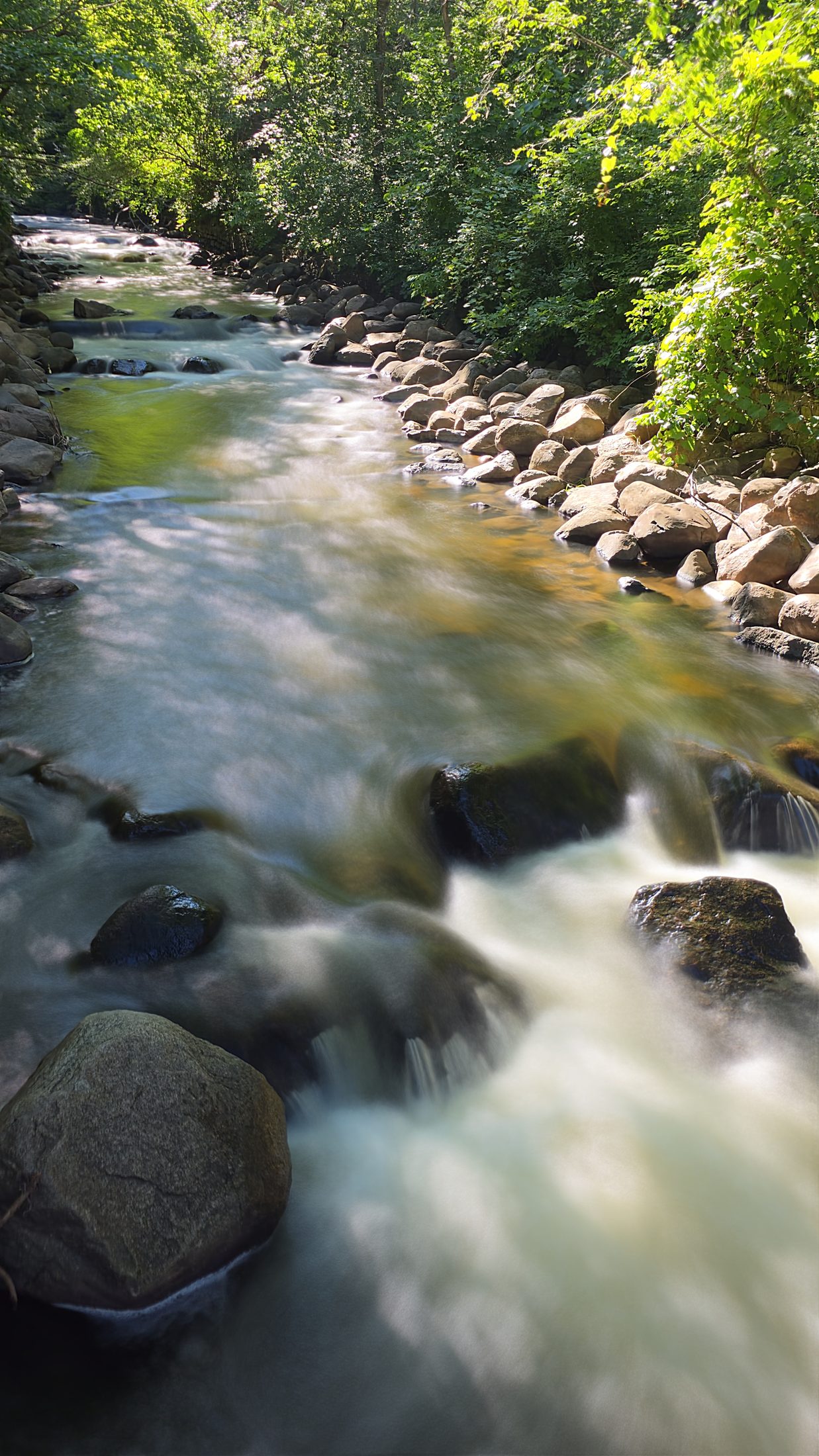 Sunlit forest creek, rapids rendered silky between sharp boulders