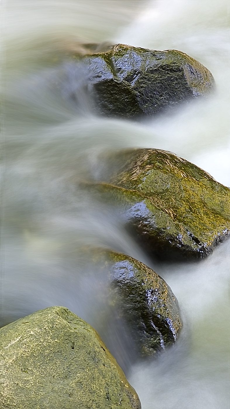 Close-up of mossy rocks in a silky stream